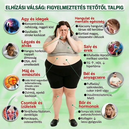 Utánvéttel fizetés [70% kedvezmény] | Magyarországon készült 🇭🇺 Florisma® 👩‍⚕️ Prémium 10 az 1-ben mikro-tűs tapasz moringával és berberinnel. Ajánlott elhízásra, cukorbetegségre, alvási apnoéra és ízületi problémákra 🌈
